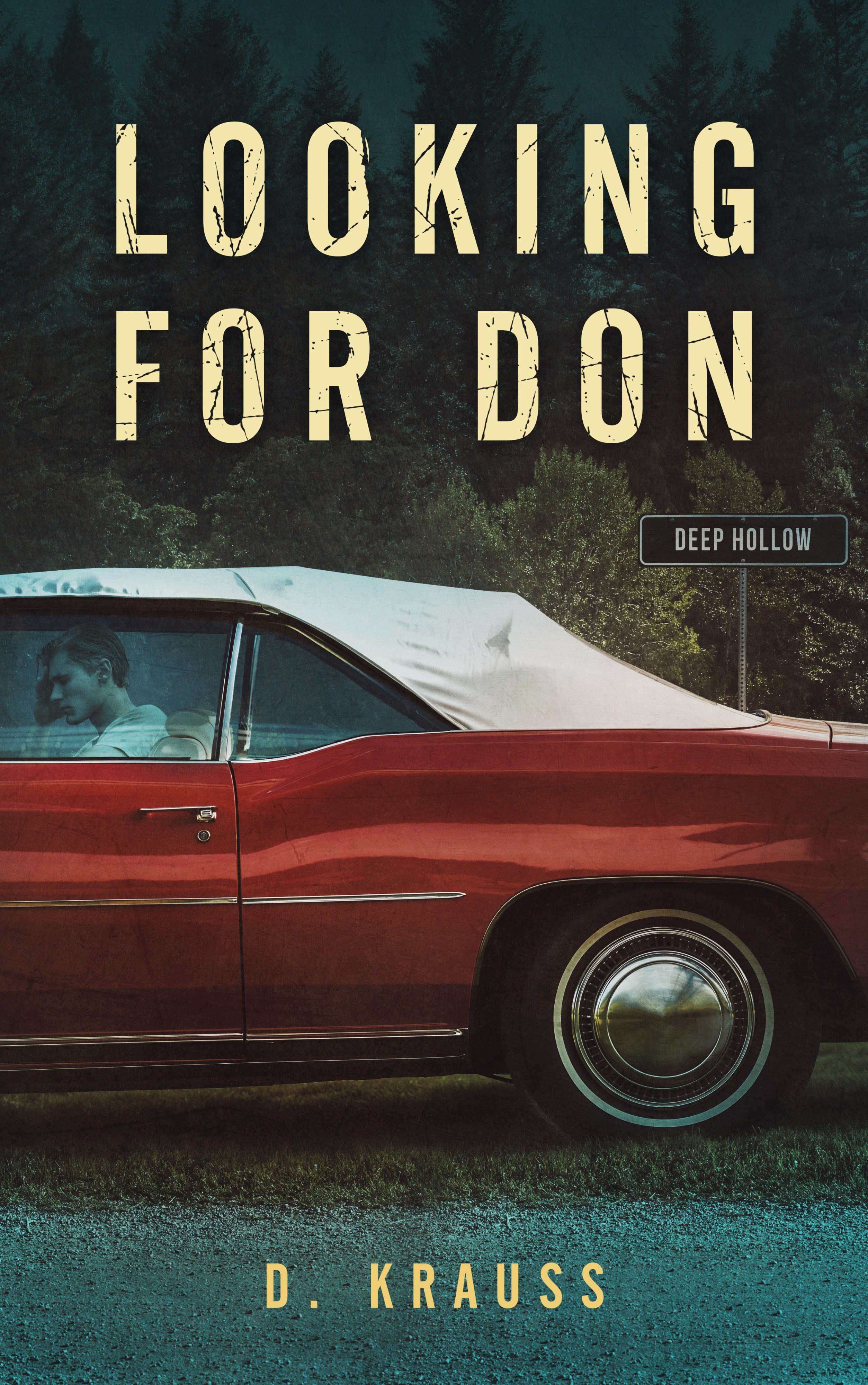 Cover of Looking for Don